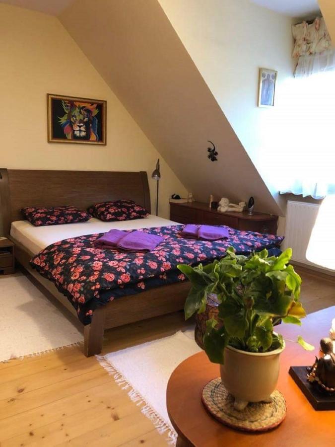 Piwniczna-Zdroj Willa Nad Popradem B&B 외부 사진