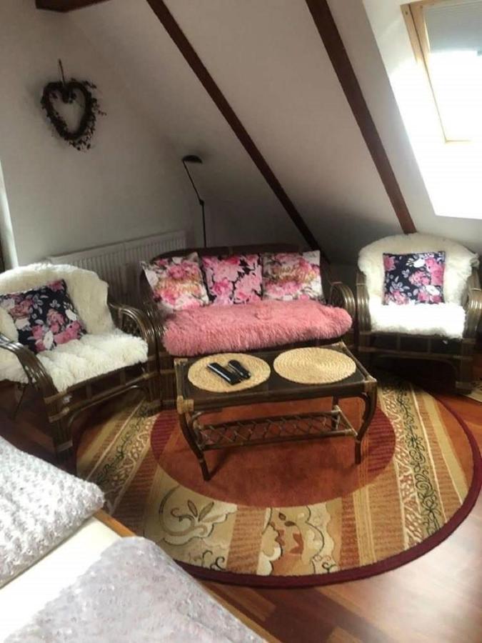 Piwniczna-Zdroj Willa Nad Popradem B&B 외부 사진