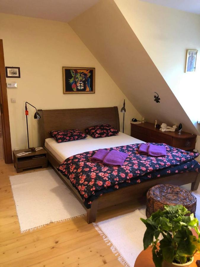 Piwniczna-Zdroj Willa Nad Popradem B&B 외부 사진