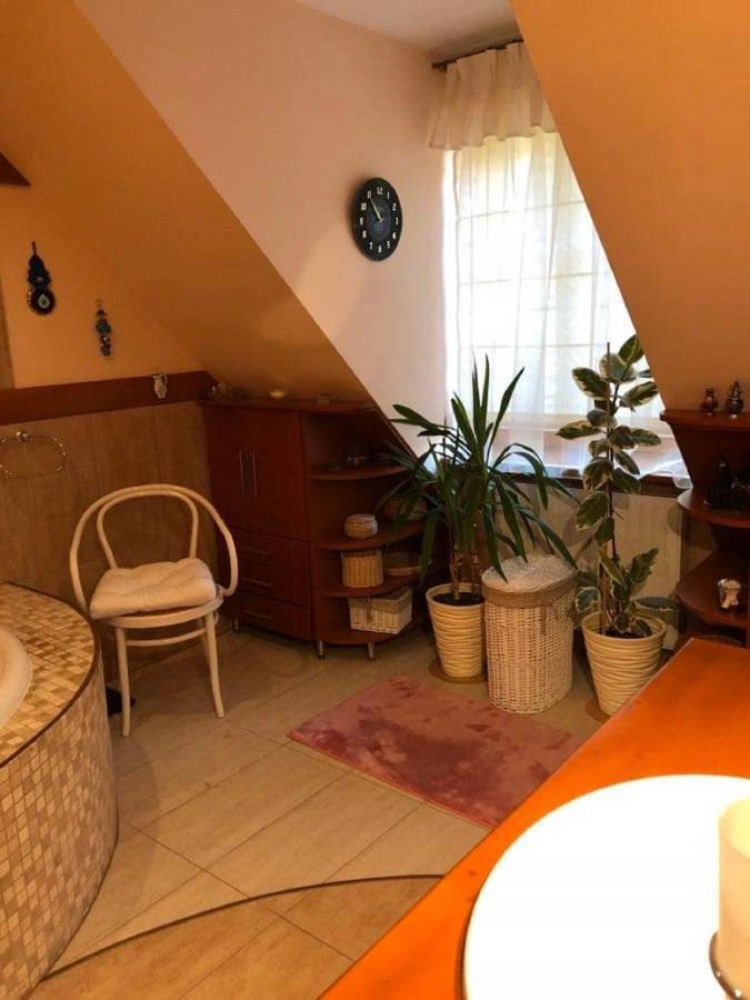 Piwniczna-Zdroj Willa Nad Popradem B&B 외부 사진