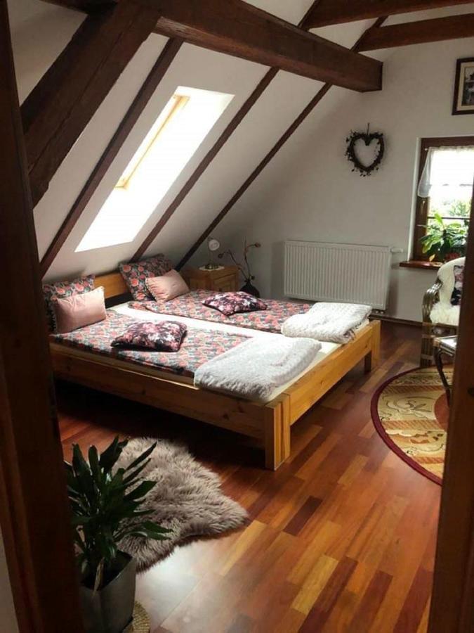Piwniczna-Zdroj Willa Nad Popradem B&B 외부 사진